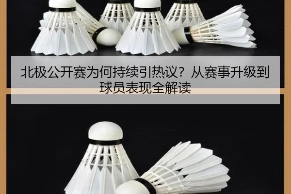 北极公开赛为何持续引热议？从赛事升级到球员表现全解读